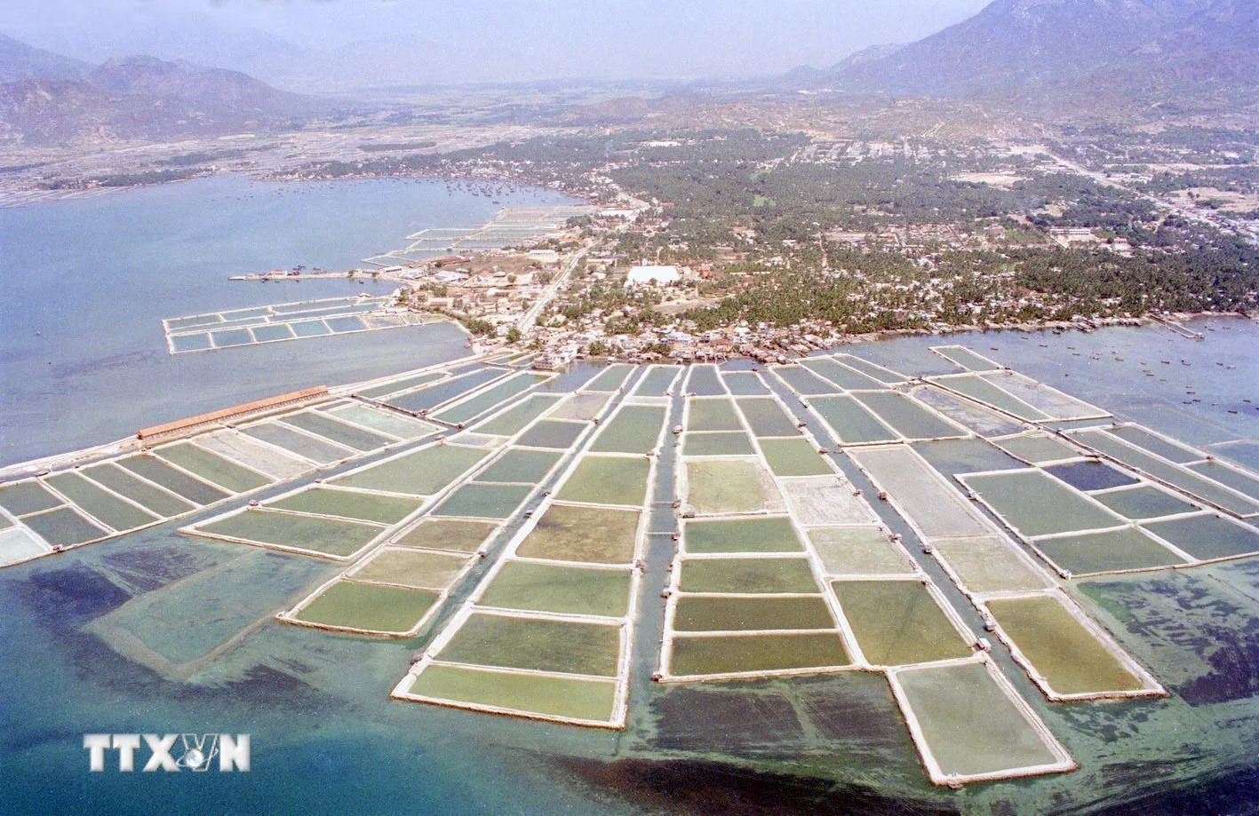 Đại hội VIII của Đảng: Tiền đề cho công cuộc công nghiệp hóa, hiện đại hóa