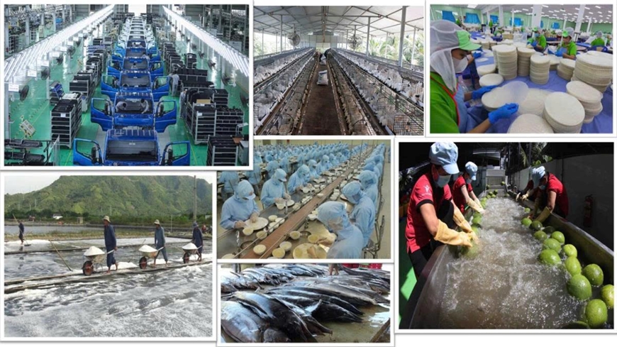 Sự trưởng thành của khu vực tư nhân trong nước là một trong những thành tựu quan trọng nhất của quá trình đổi mới. Ảnh: Báo Chính phủ