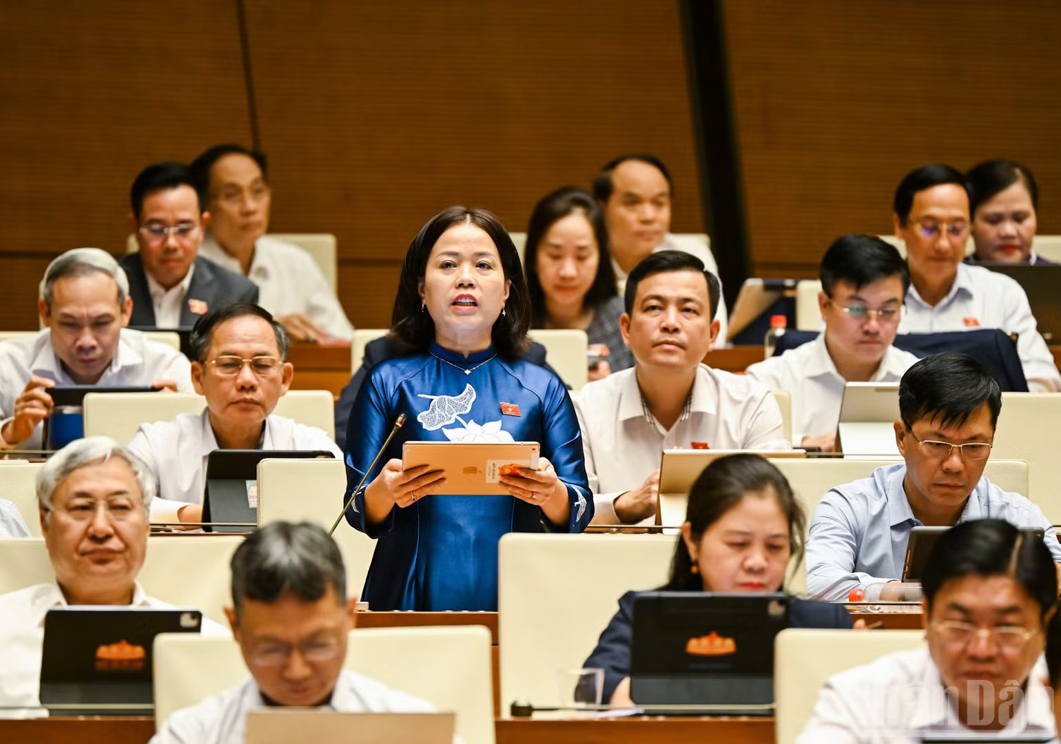 Đại biểu Quốc hội Lý Thị Lan (Đoàn Tuyên Quang). (Ảnh: DUY LINH) ndo_br_ly-thi-lan-tuyen-quang.jpg