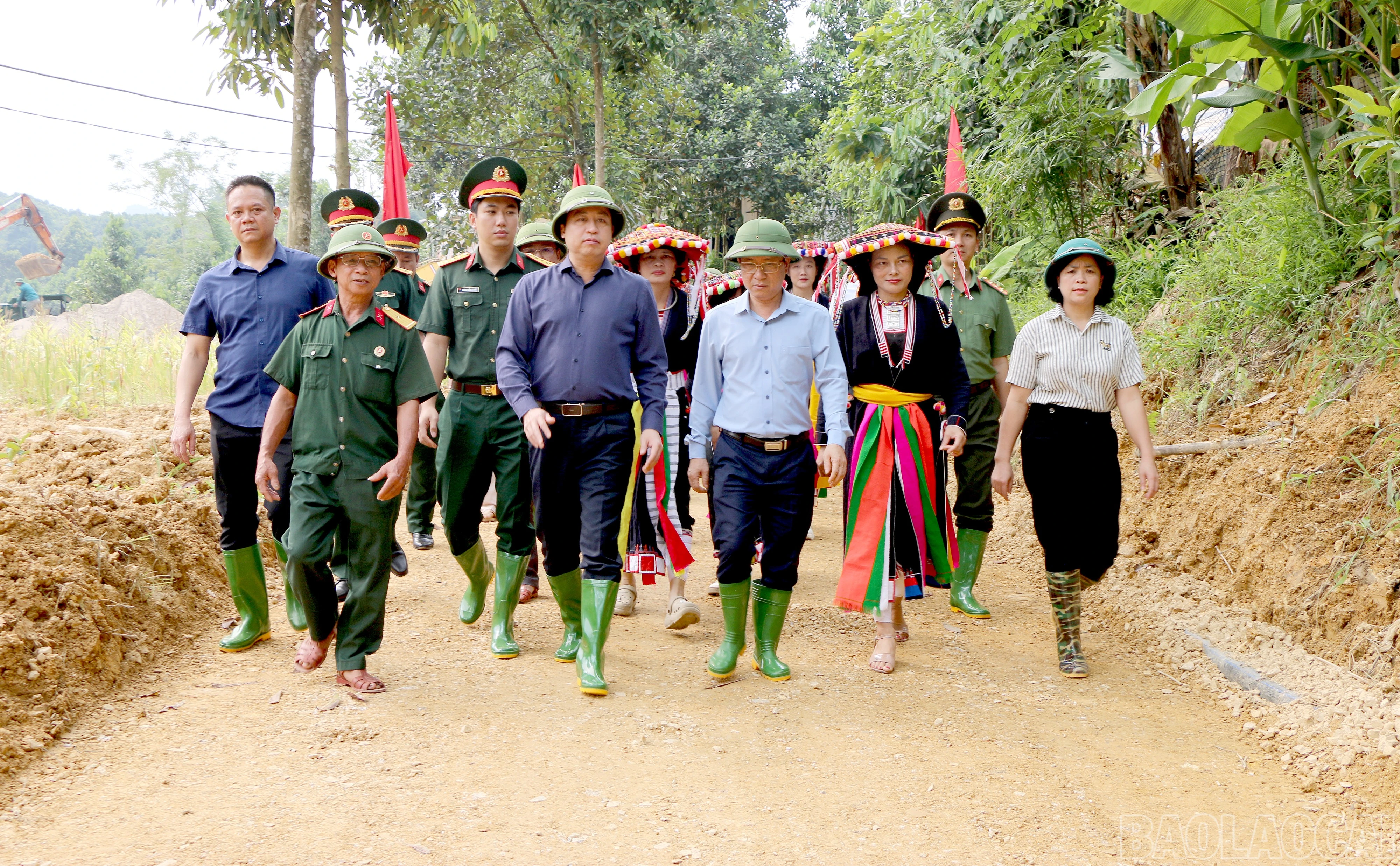 baolaocai-br_333.jpg