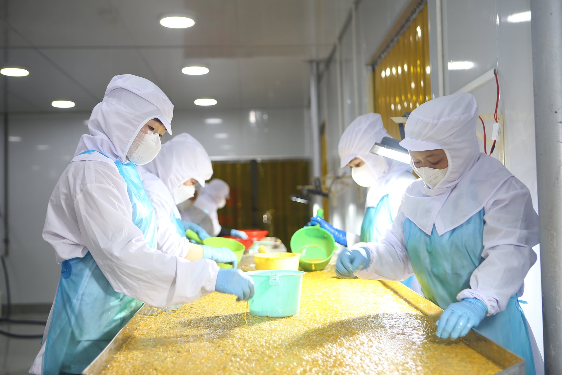 Lam Đ&ocirc;̀ng đang tri&ecirc;̉n khai nhi&ecirc;̀u chính sách h&ocirc;̃ trợ doanh nghi&ecirc;̣p phát tri&ecirc;̉n