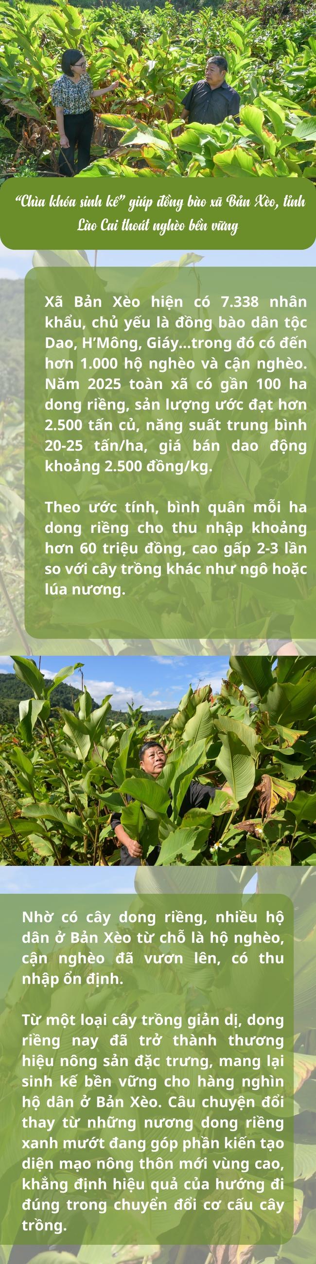 Infographic: Cây dong riềng - “chìa khóa sinh kế” giúp thoát nghèo bền vững - Ảnh 1. Infographic: Cây dong riềng - “chìa khóa sinh kế” giúp thoát nghèo bền vững - Ảnh 1.