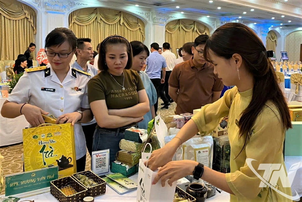 Các hợp tác xã, doanh nghiệp giới thiệu sản phẩm chè Thái Nguyên đạt tiêu chuẩn OCOP tại TP. Hải Phòng.