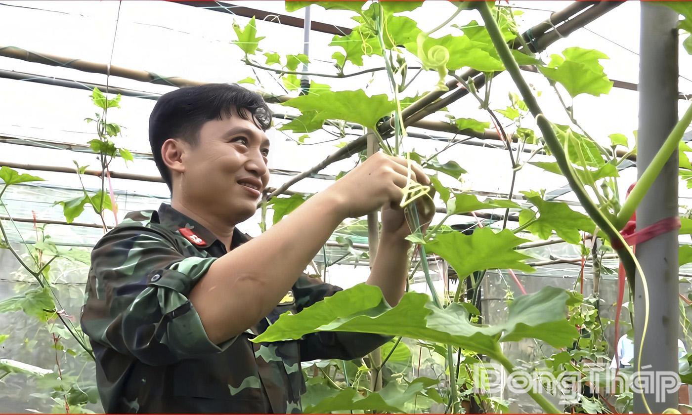 Đồng chí Thiếu tá Trần Hoàng Minh, Trợ lý kỹ thuật Phòng hậu cần kỹ thuật BCH Phòng thủ khu vực 1 – Long Thuận bên vườn rau phát triển xanh tươi của đơn vị.