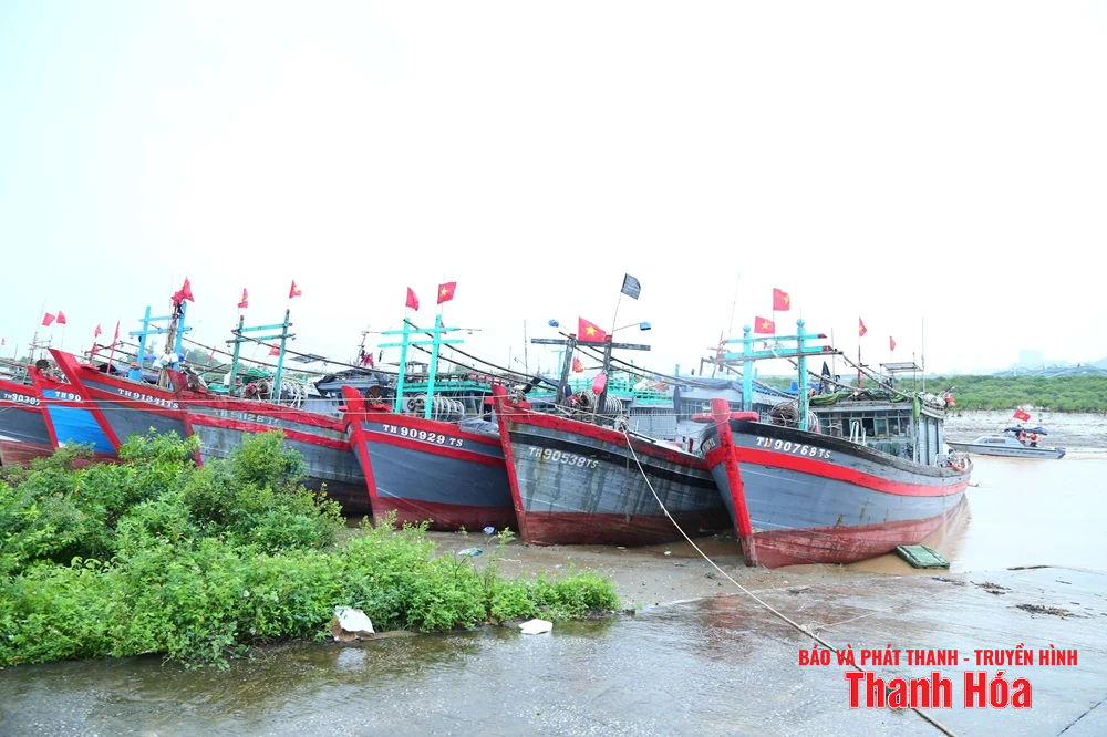 Phó Bí thư Thường trực Tỉnh ủy Lại Thế Nguyên kiểm tra công tác ứng phó bão số 5 tại các địa phương