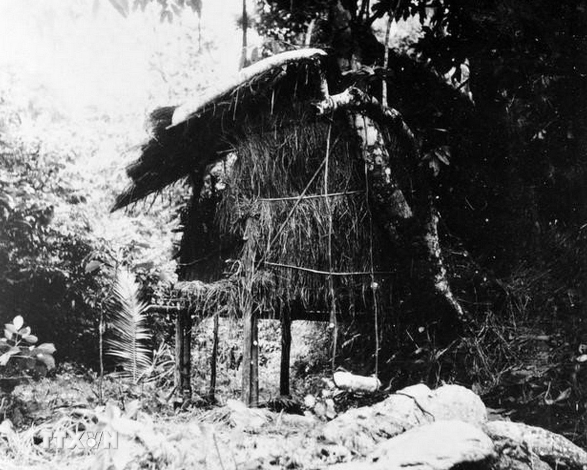 ttxvn-moc-son-choi-loi-trong-lich-su-dan-toc-viet-nam-7537310.jpg ttxvn-moc-son-choi-loi-trong-lich-su-dan-toc-viet-nam-7537310.jpg