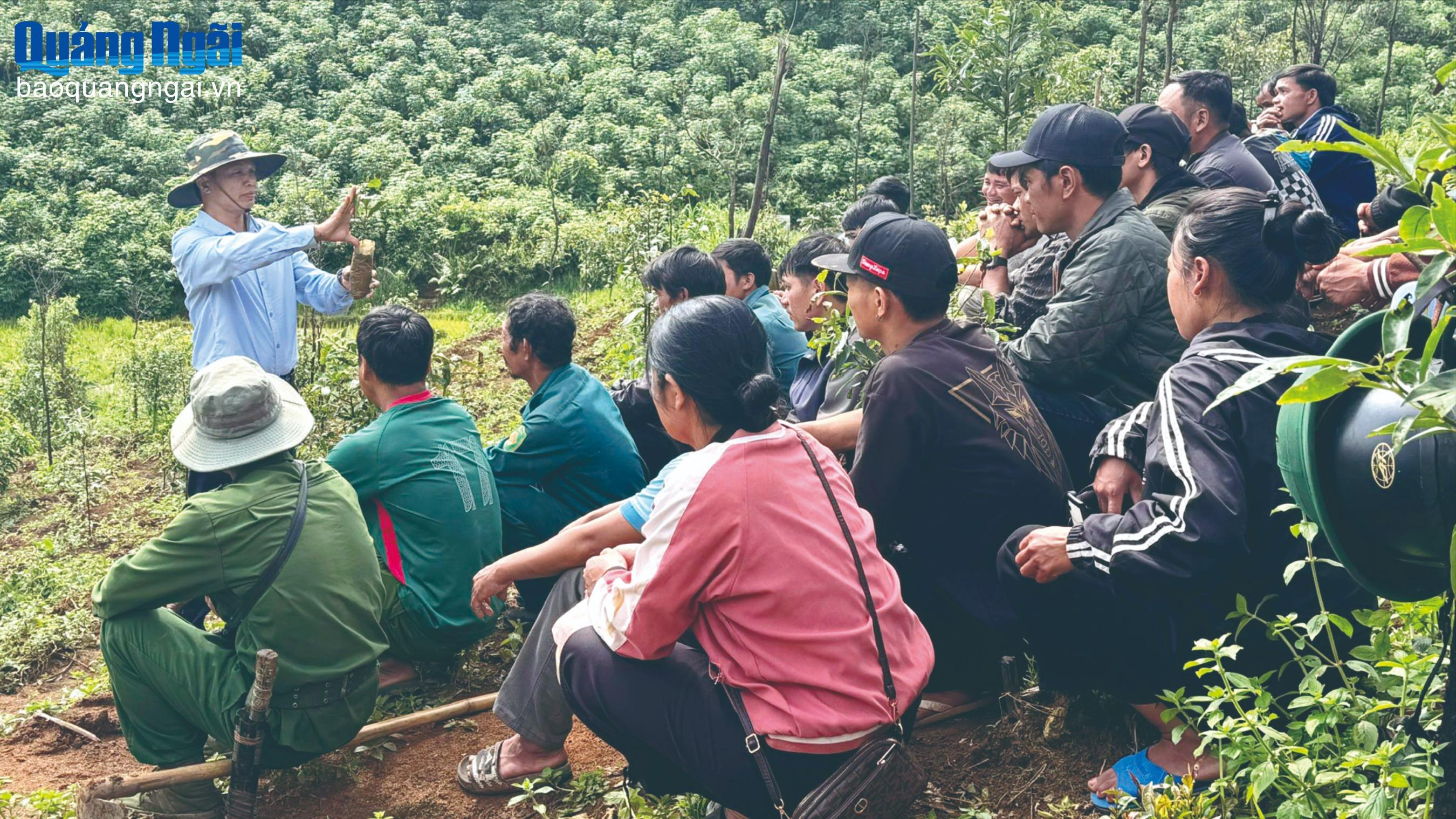 B&aacute;o v&agrave; Ph&aacute;t thanh, Truyền h&igrave;nh Quảng Ng&atilde;i