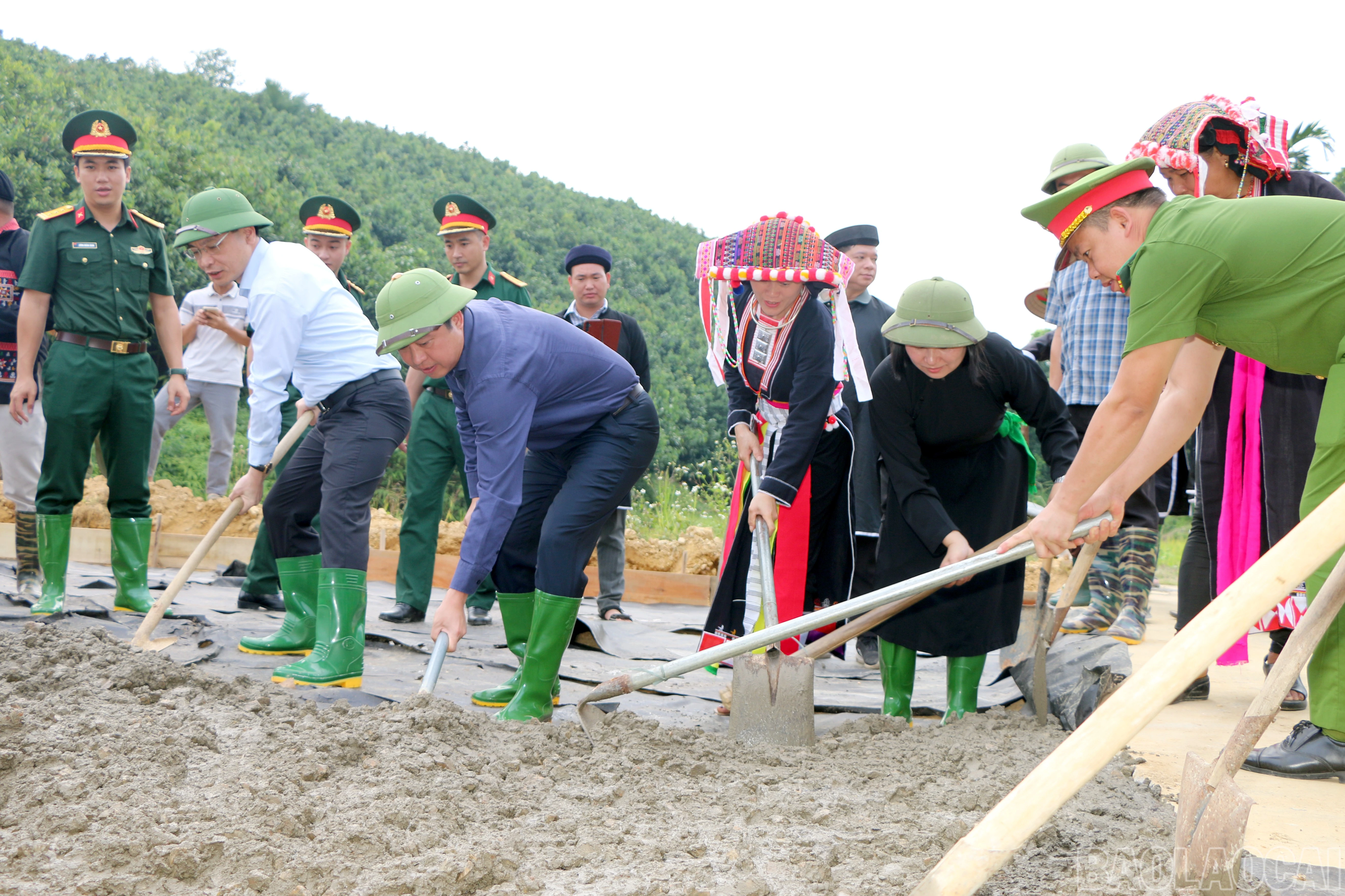 baolaocai-br_img-9120.jpg