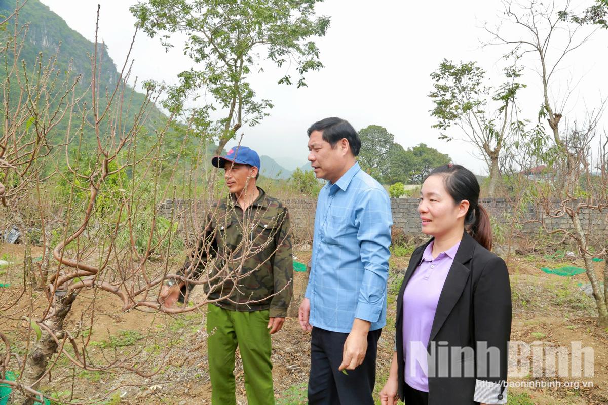 Trao đổi kỹ thuật chăm s&oacute;c đ&agrave;o tại vườn của chị Nguyễn Thanh Duy&ecirc;n, Tổ d&acirc;n phố số 7, phường Tam Ch&uacute;c