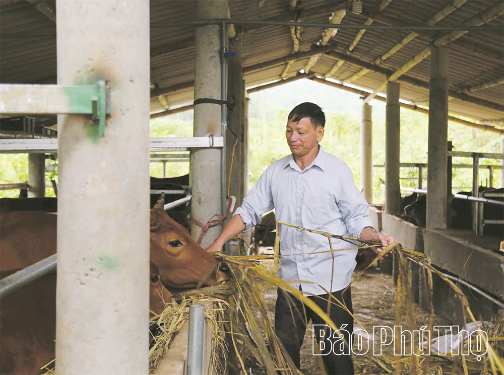 Hiện thực h&oacute;a mục ti&ecirc;u giảm ngh&egrave;o đa chiều v&agrave;o năm 2030