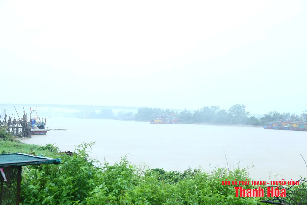 Phó Bí thư Thường trực Tỉnh ủy Lại Thế Nguyên kiểm tra công tác ứng phó bão số 5 tại các địa phương