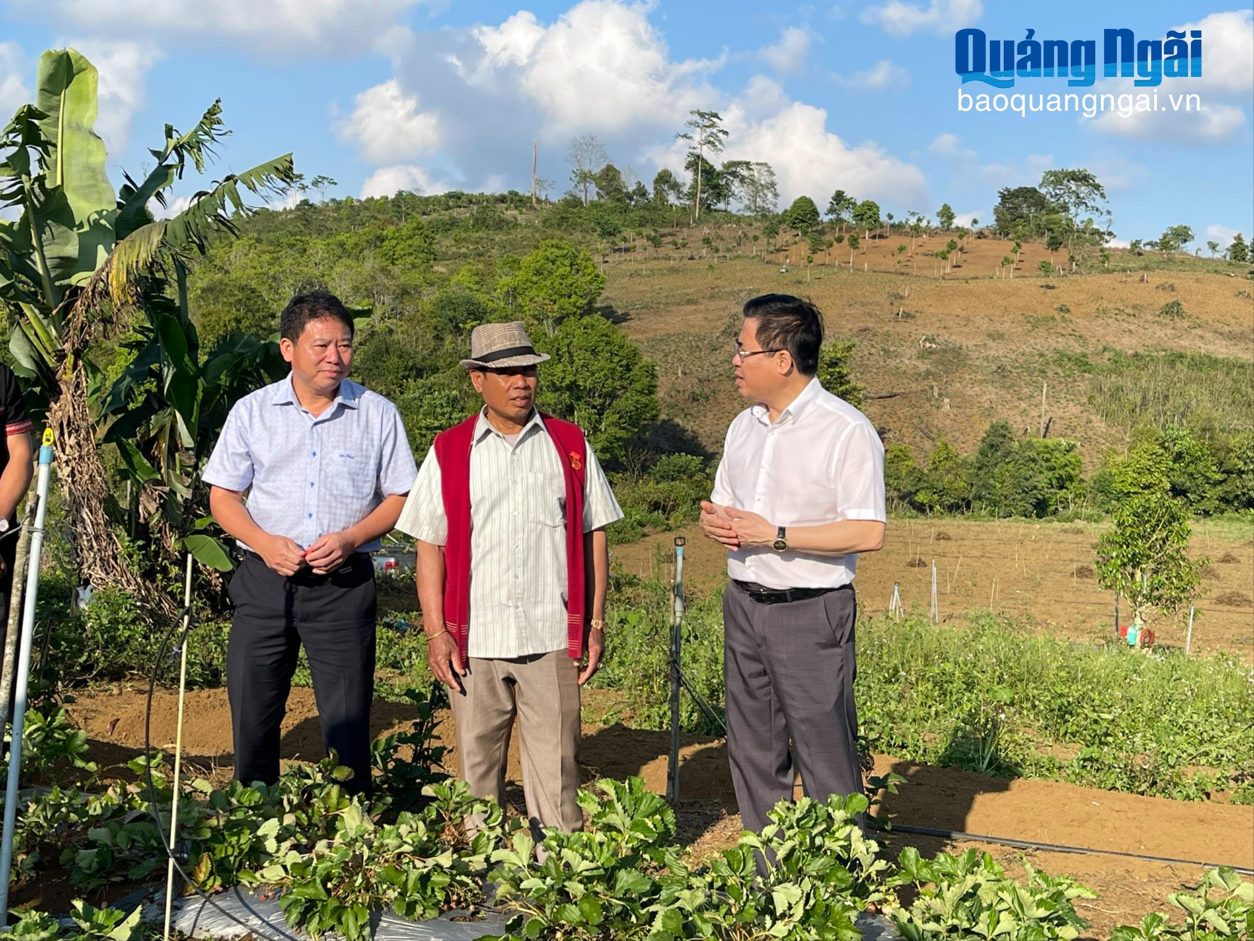 Báo và Phát thanh, Truyền hình Quảng Ngãi