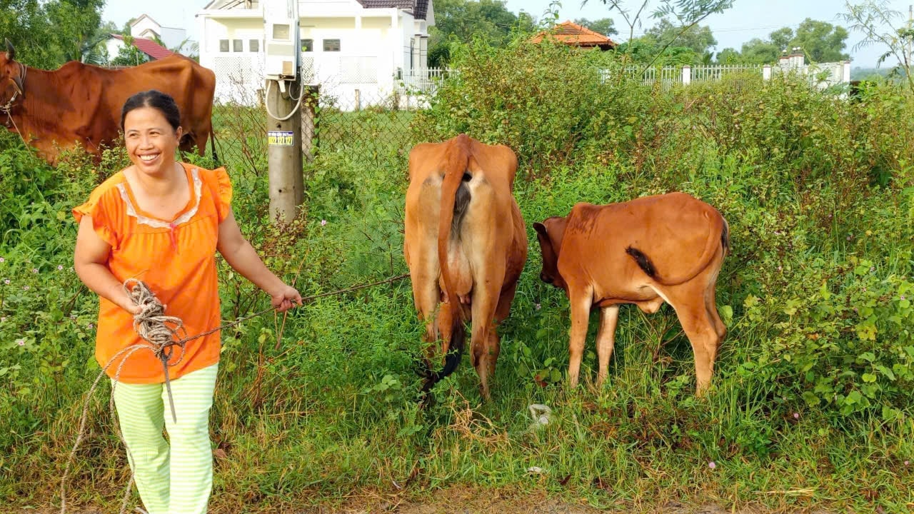 z7222489253110_ab4f06e898ff72b25485bd6b21eaa265 (1)