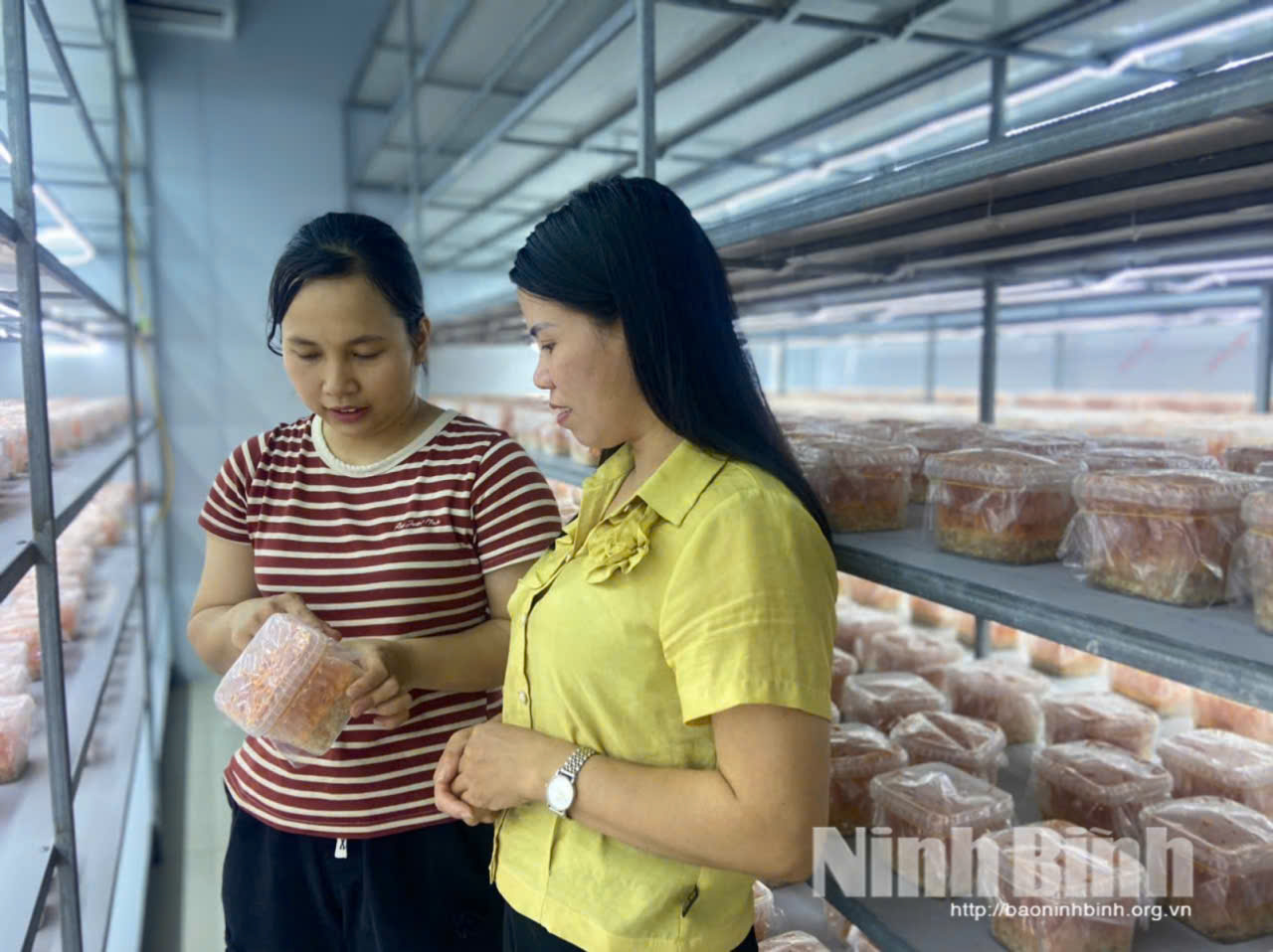 Chị Phạm Thị Hồng Duyên (áo kẻ) giới thiệu với khách hàng về sản phẩm nấm Đông trùng hạ thảo.