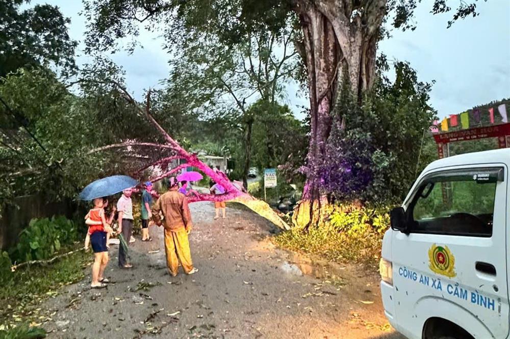 Công an xã Cầm Bình nhanh chóng phối hợp với các lực lượng chức năng giải tỏa các điểm cây đổ do gió mạnh vào tối 19/7 gây ảnh hưởng đến trật tự an toàn giao thông.