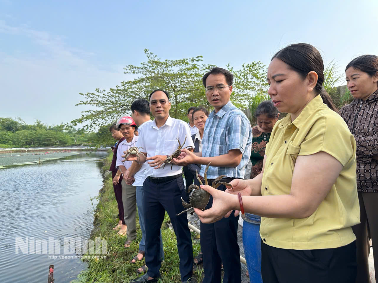 Các đại biểu tham quan thực tế và kiểm tra sự phát triển của cua cà ra tại mô hình nuôi thương phẩm ở xã Khánh Thiện.