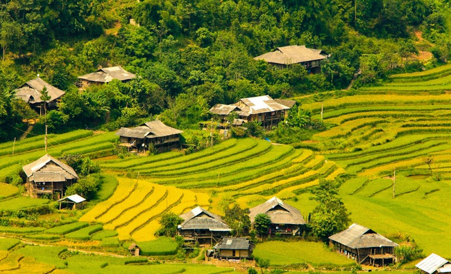 Di tích Quốc gia đặc biệt Ruộng bậc thang Mù Cang Chải - Nét văn hóa đặc sắc vùng cao - Ảnh 8. Di tích Quốc gia đặc biệt Ruộng bậc thang Mù Cang Chải - Nét văn hóa đặc sắc vùng cao - Ảnh 8.