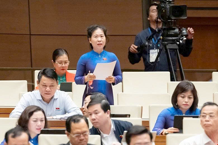 Đại biểu Quốc hội Tô Ái Vang góp ý dự thảo Luật sửa đổi, bổ sung một số điều Luật Thuế giá trị gia tăng