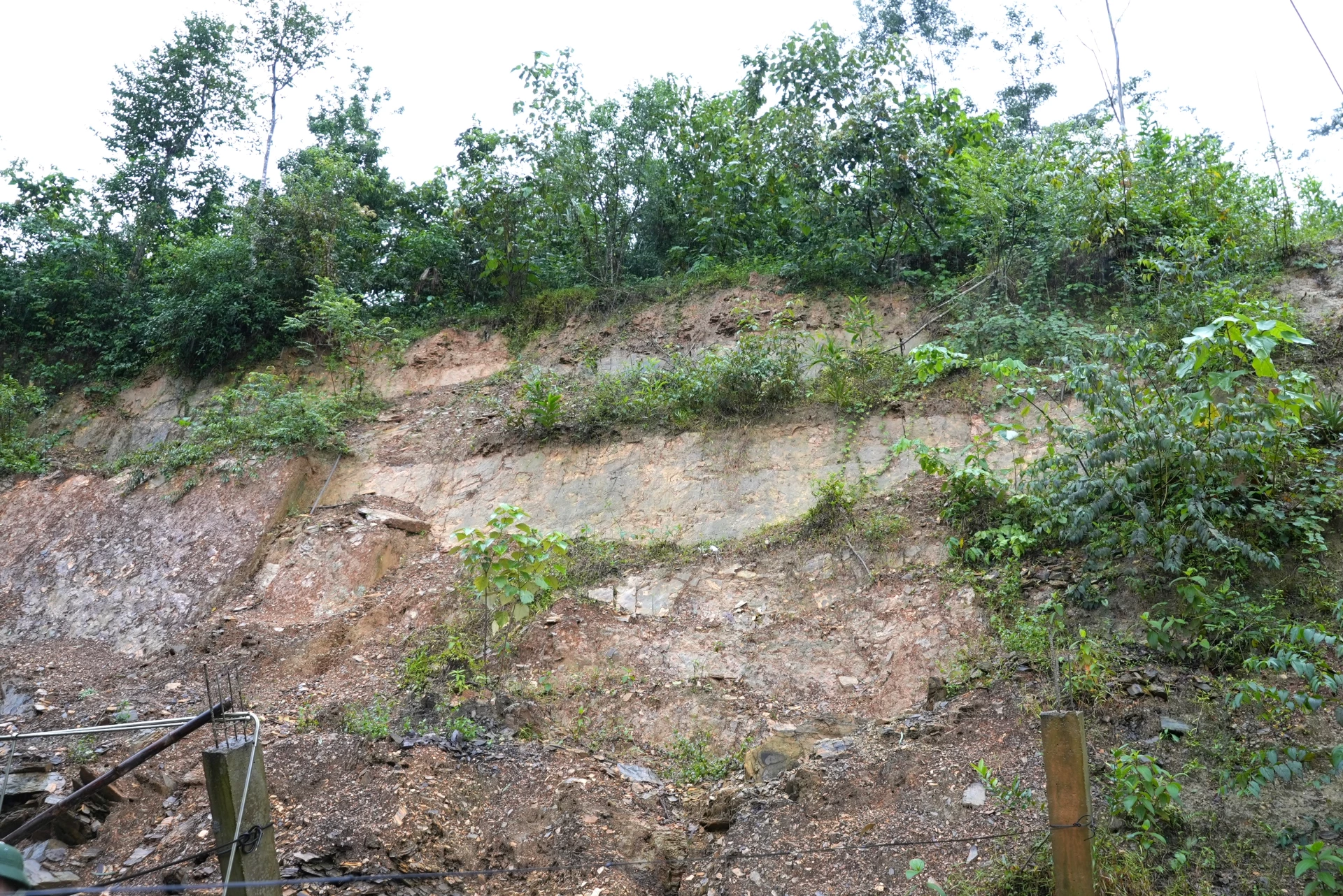 Mái taluy có nguy cơ sạt lở tại Thuận Tiến đe dọa trực tiếp đến cuộc sống của nhiều hộ dân - Ảnh: Trung Đức