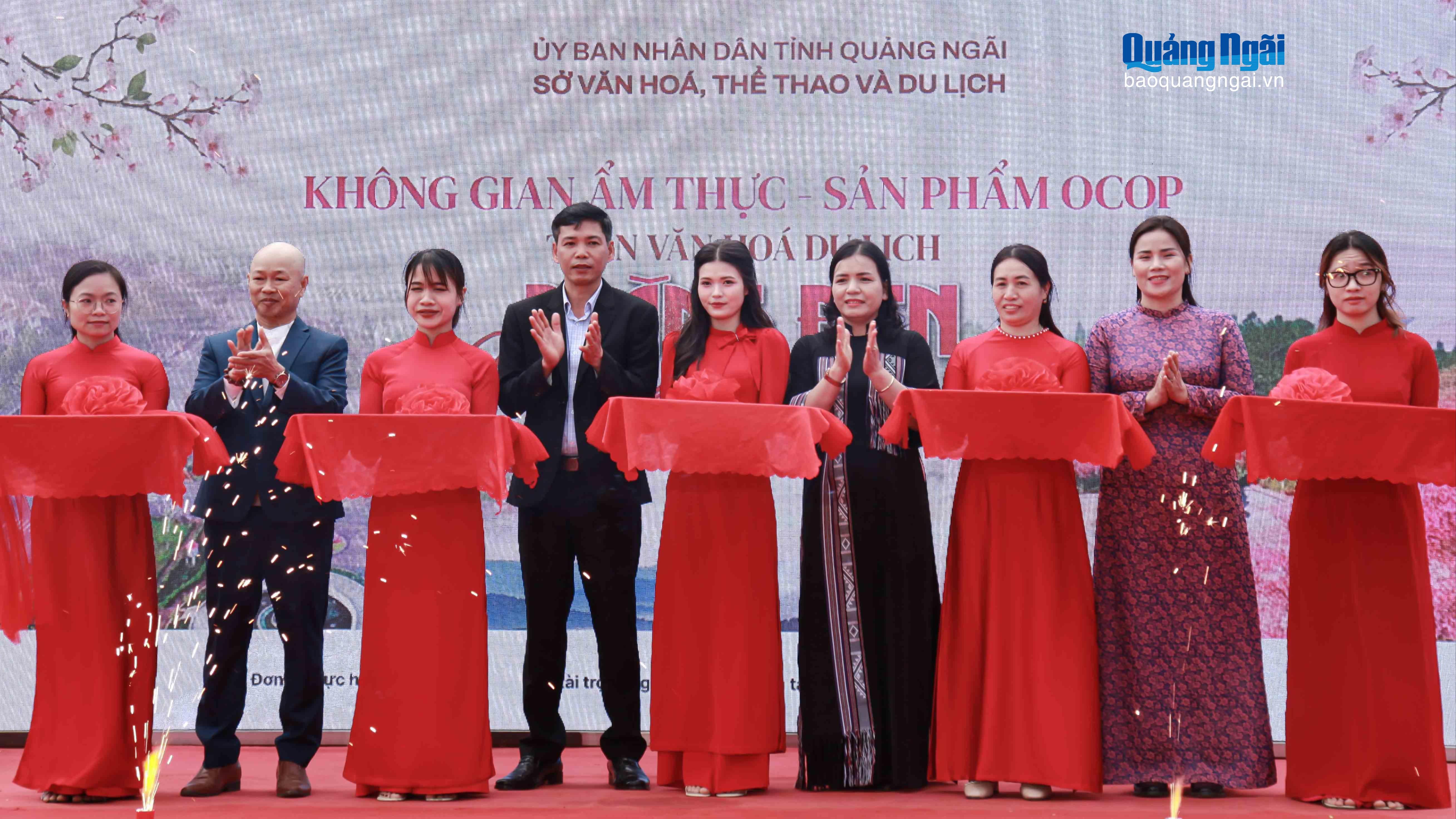 B&aacute;o v&agrave; Ph&aacute;t thanh, Truyền h&igrave;nh Quảng Ng&atilde;i