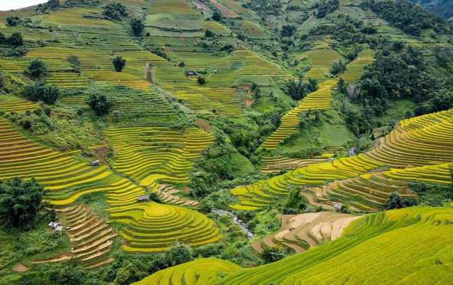 Di tích Quốc gia đặc biệt Ruộng bậc thang Mù Cang Chải - Nét văn hóa đặc sắc vùng cao - Ảnh 4. Di tích Quốc gia đặc biệt Ruộng bậc thang Mù Cang Chải - Nét văn hóa đặc sắc vùng cao - Ảnh 4.