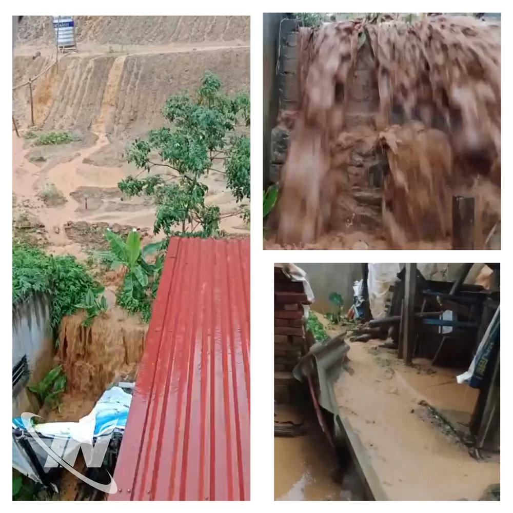 Nước mưa chảy xối xả từ khu đồi phía sau nhà dân, mang theo bùn đất tràn xuống sân.