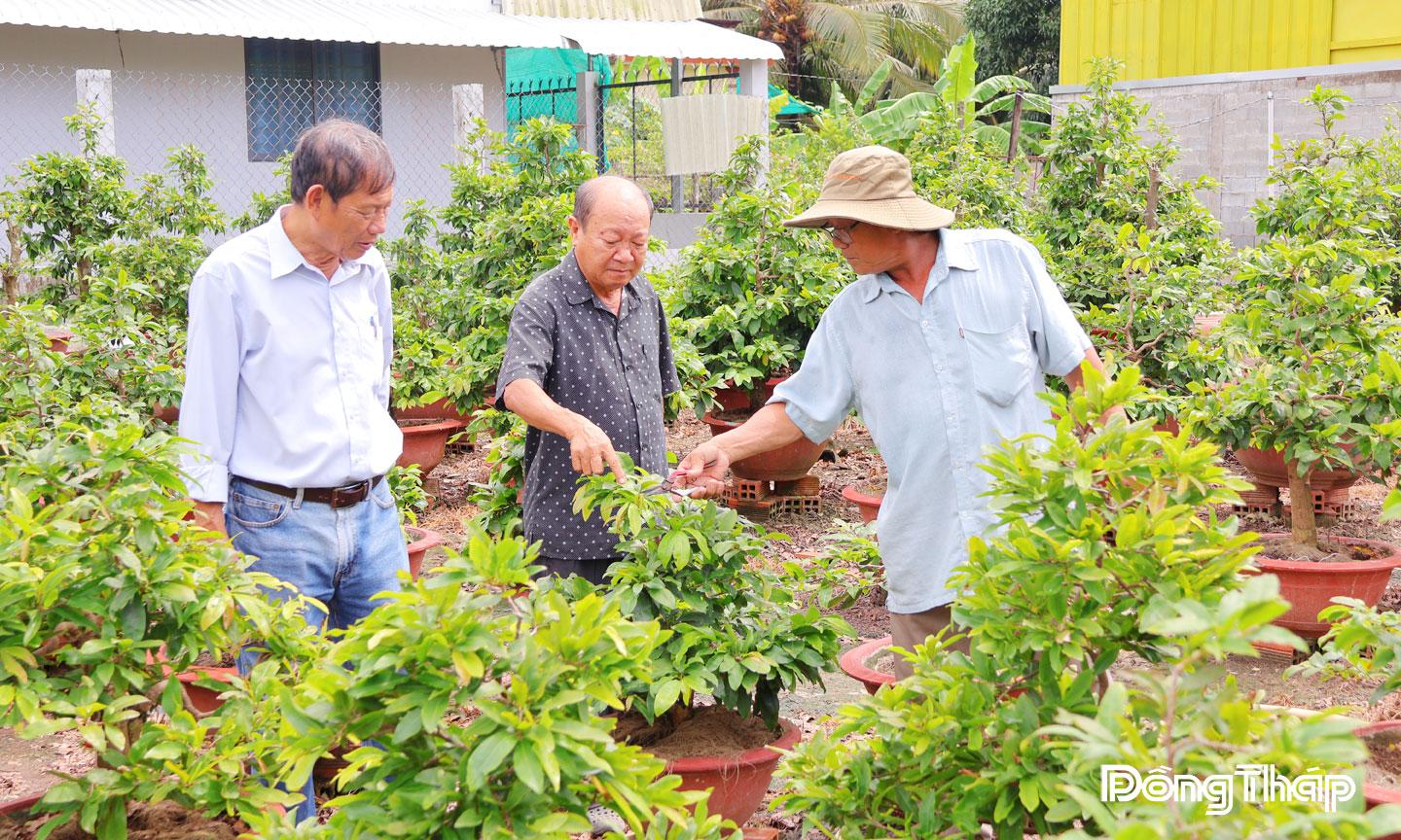 Bà con xã viên Hợp tác xã Tân Mỹ Chánh thường xuyên gặp gỡ trao đổi kinh nghiệm nhằm nâng cao tay nghề trong sản xuất hoa kiểng.