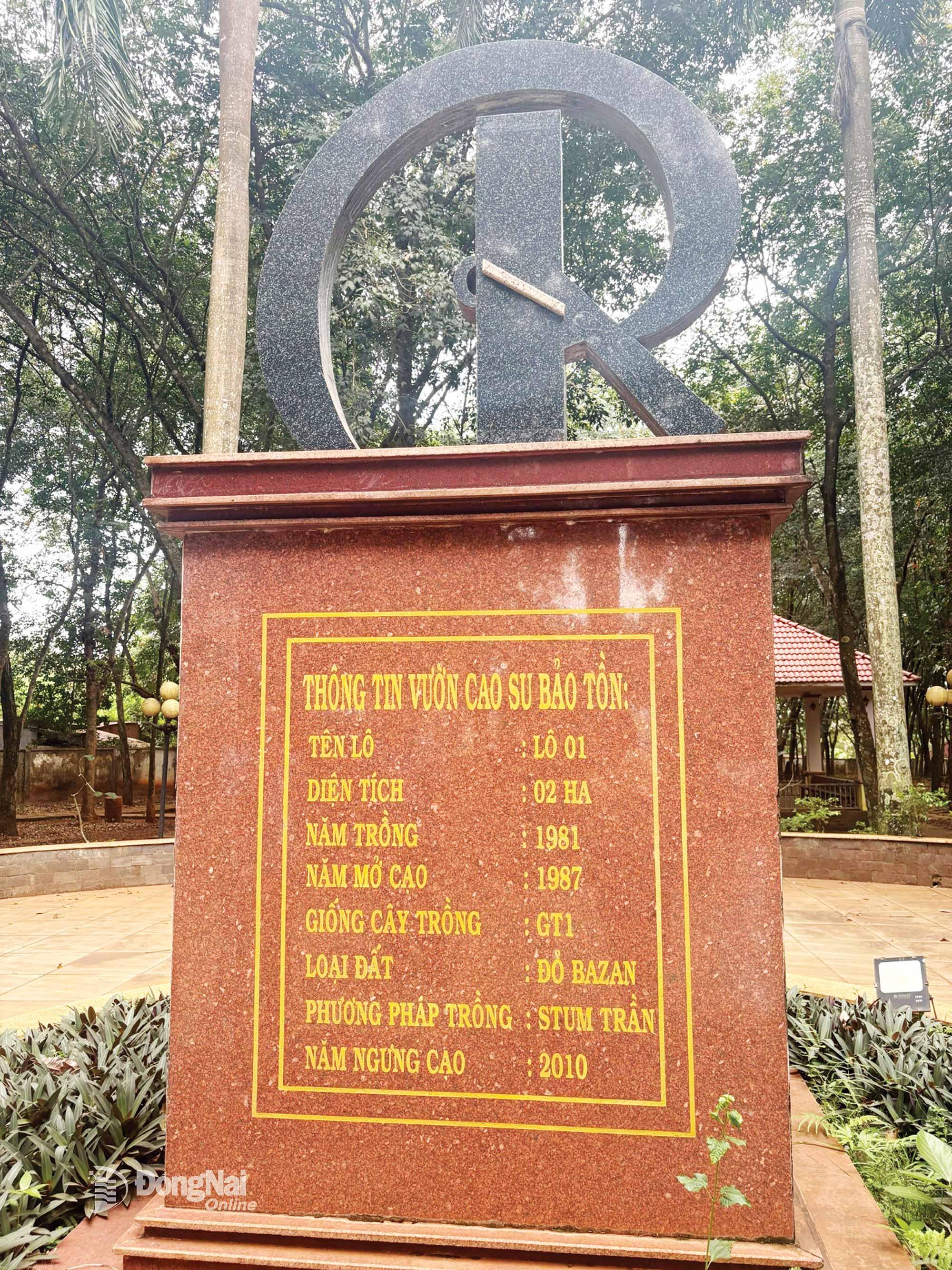 Bia đá trong khuôn viên ghi rõ thông tin về vườn cao su bảo tồn