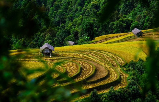 Di tích Quốc gia đặc biệt Ruộng bậc thang Mù Cang Chải - Nét văn hóa đặc sắc vùng cao - Ảnh 5. Di tích Quốc gia đặc biệt Ruộng bậc thang Mù Cang Chải - Nét văn hóa đặc sắc vùng cao - Ảnh 5.