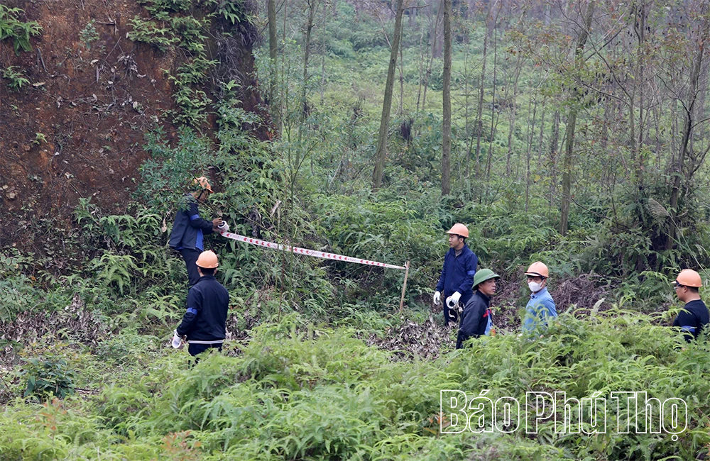 Cưỡng chế thu hồi đất phục vụ xây dựng Cụm công nghiệp Tam Nông