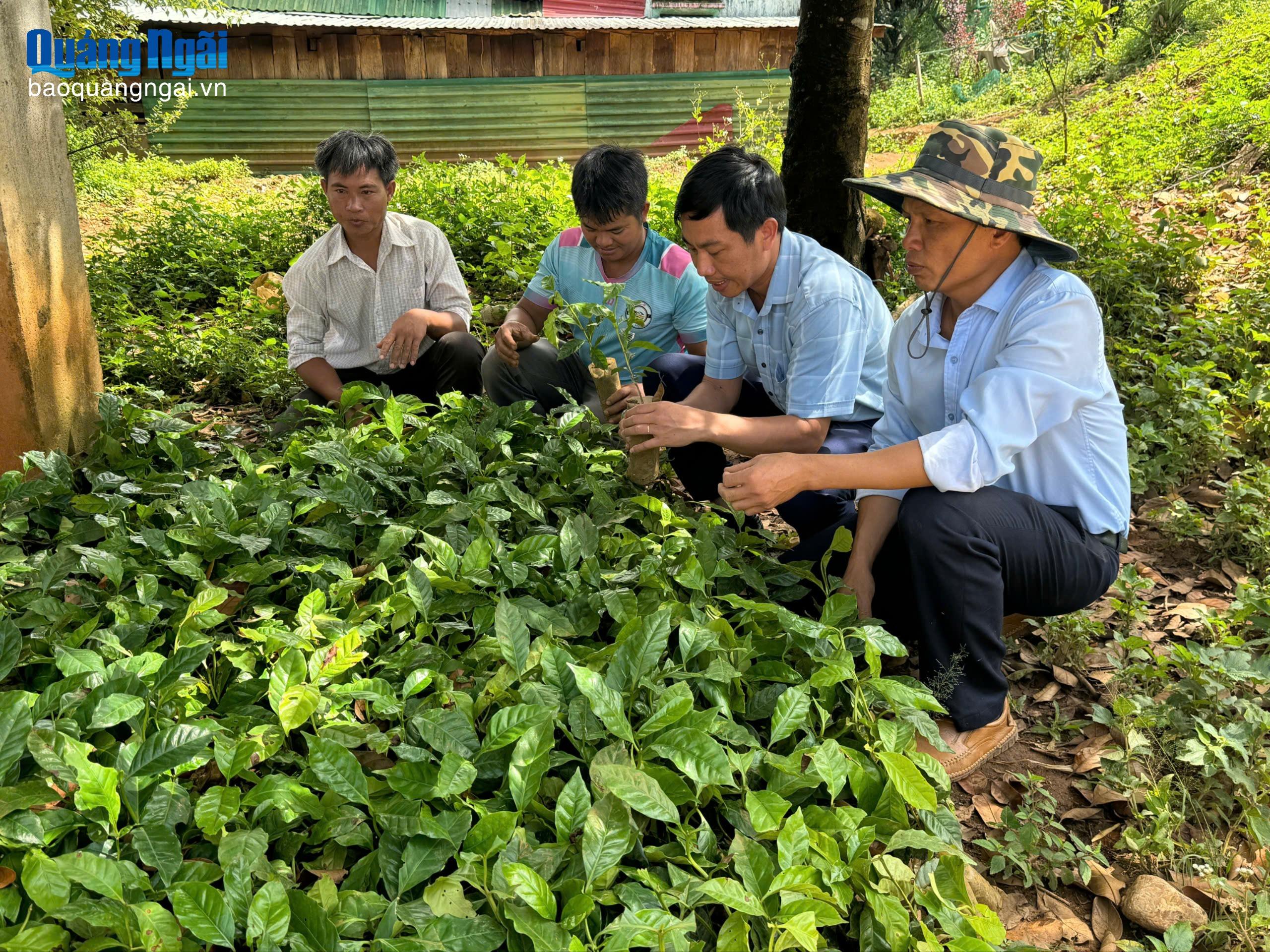 B&aacute;o v&agrave; Ph&aacute;t thanh, Truyền h&igrave;nh Quảng Ng&atilde;i