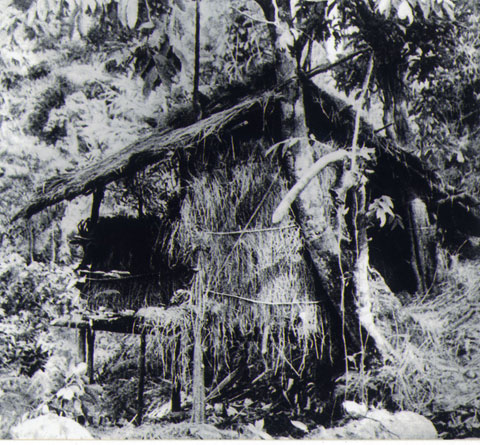 image003.jpg