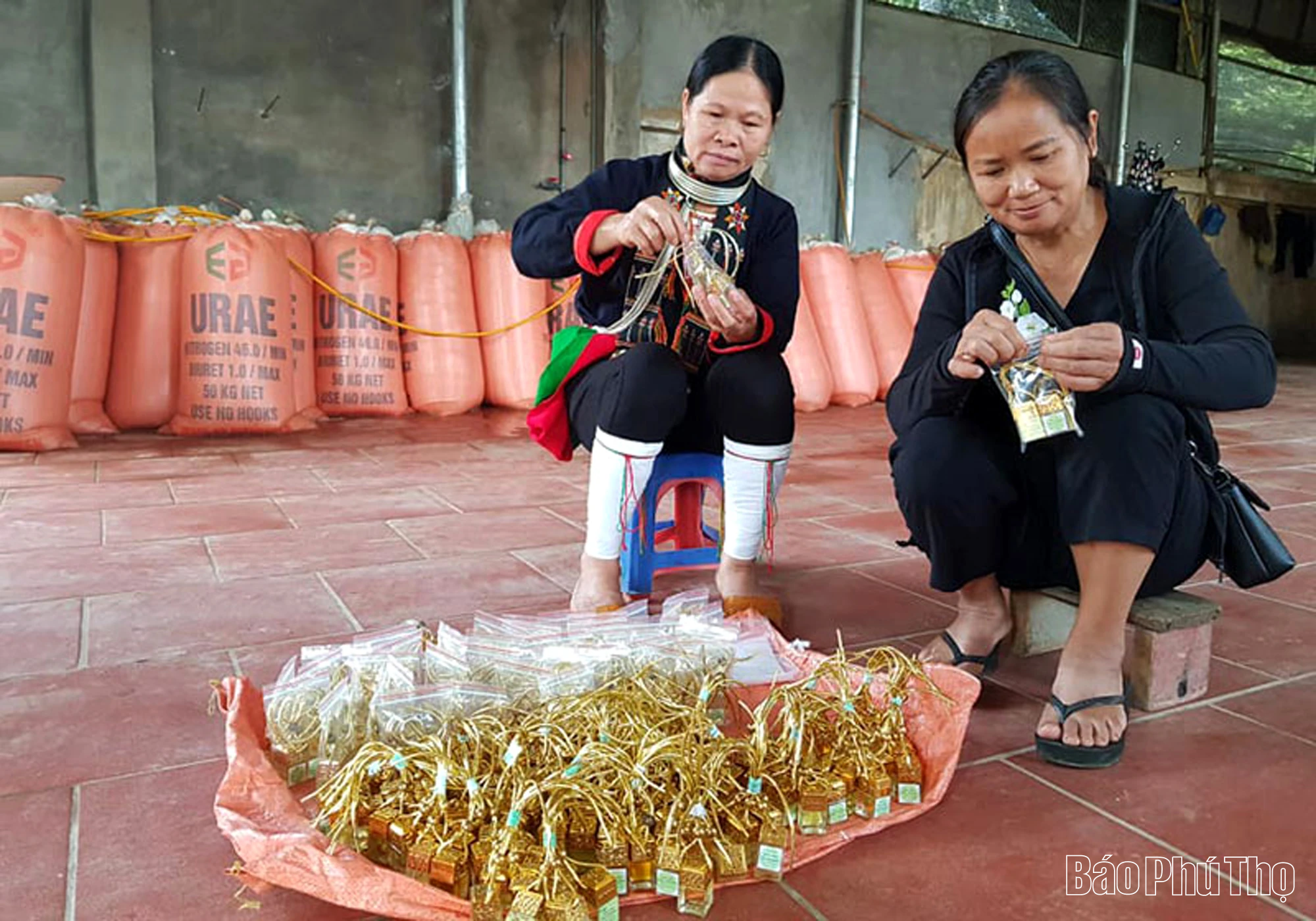 Người Dao phường Thống Nhất: Từ nghề thuốc Nam đến khởi nghiệp xanh