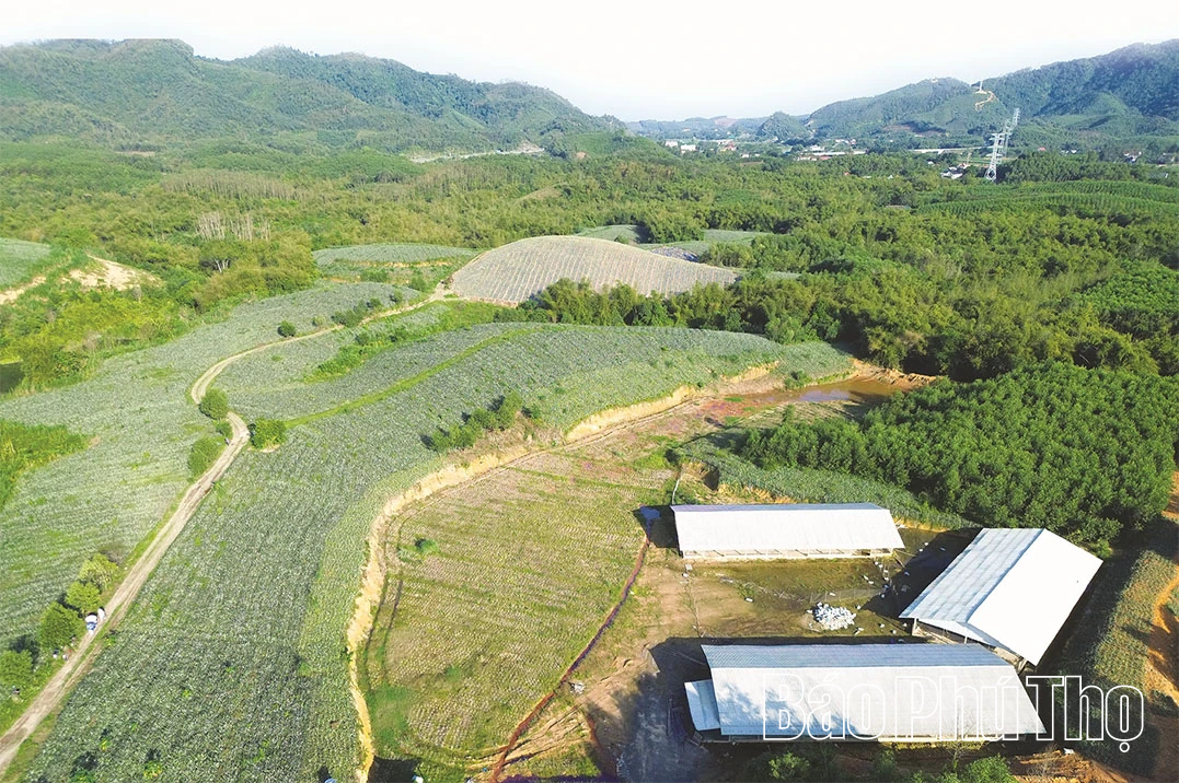 Lộc Xuân từ đồng đất