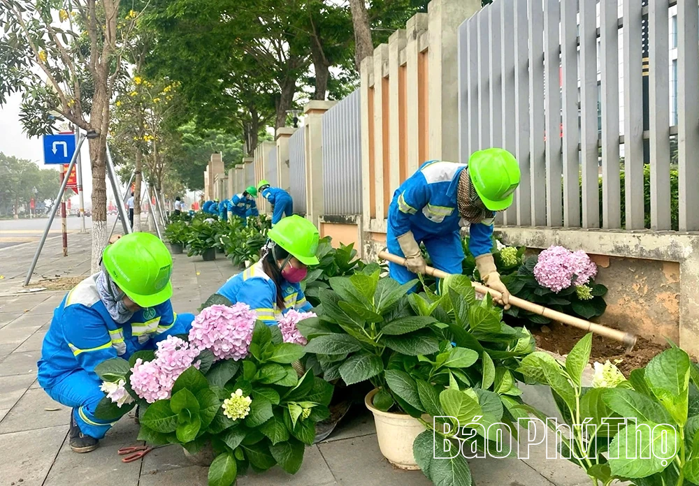 S&aacute;ng - xanh - sạch - đẹp đ&oacute;n Xu&acirc;n mới 2026