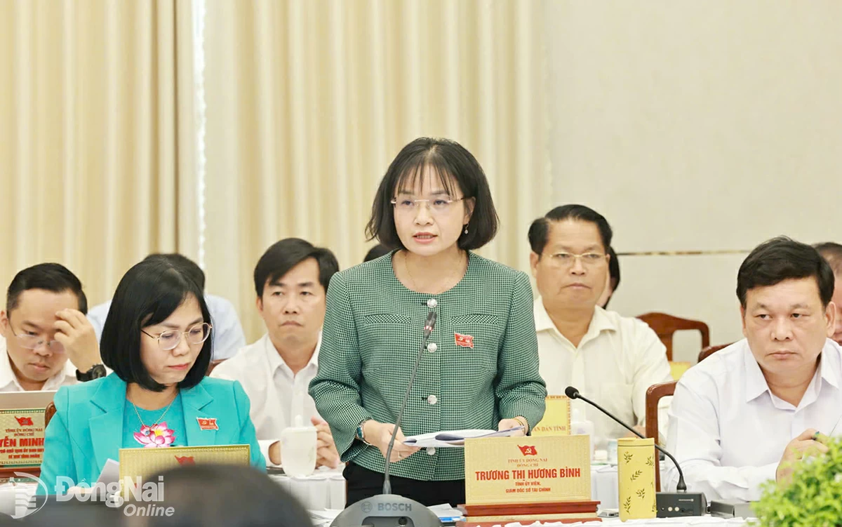 Giám đốc Sở Tài chính Trương Thị Hương Bình phát biểu tại hội nghị. Ảnh: Công Nghĩa  