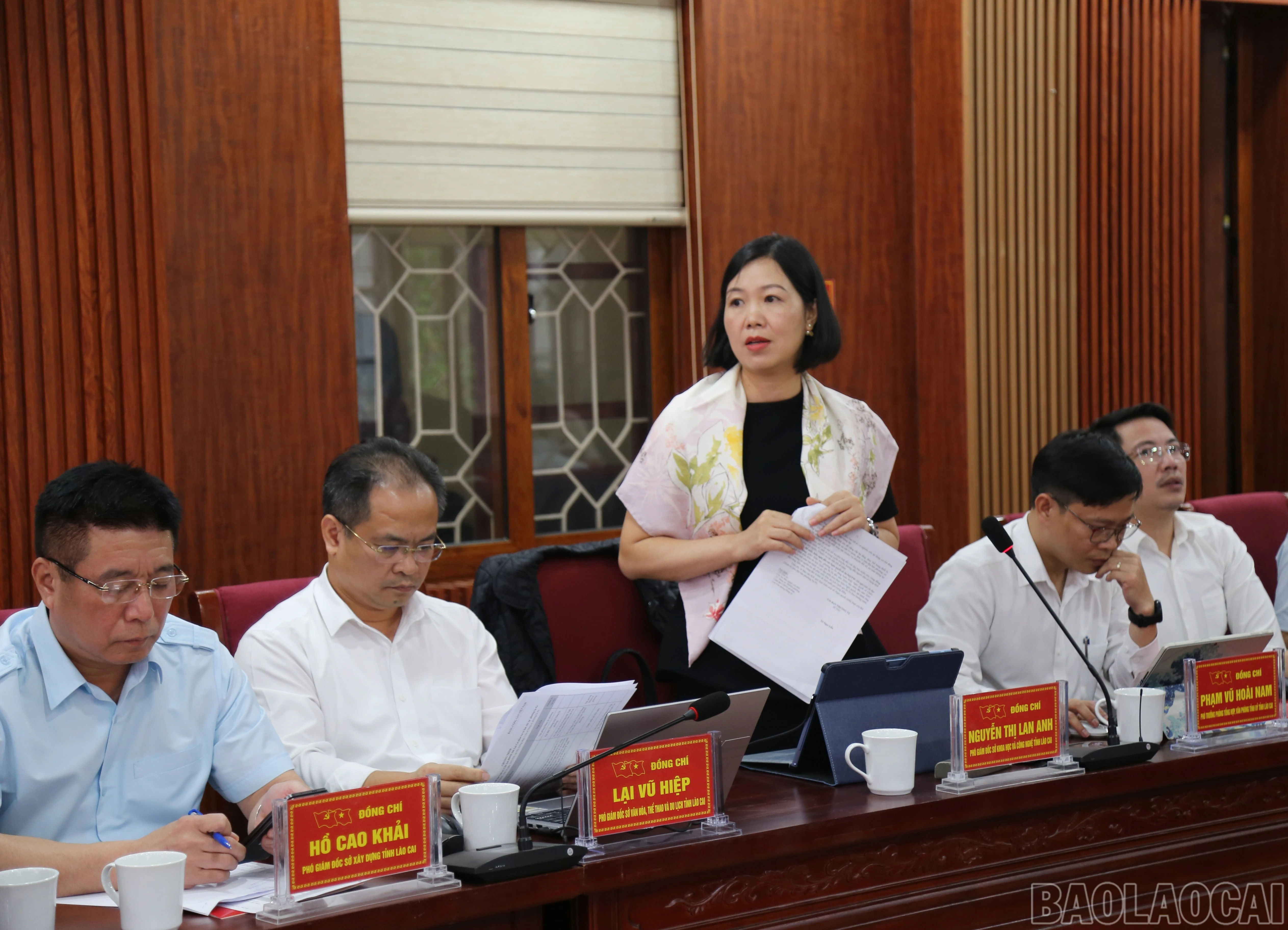 baolaocai-br_a-11.jpg