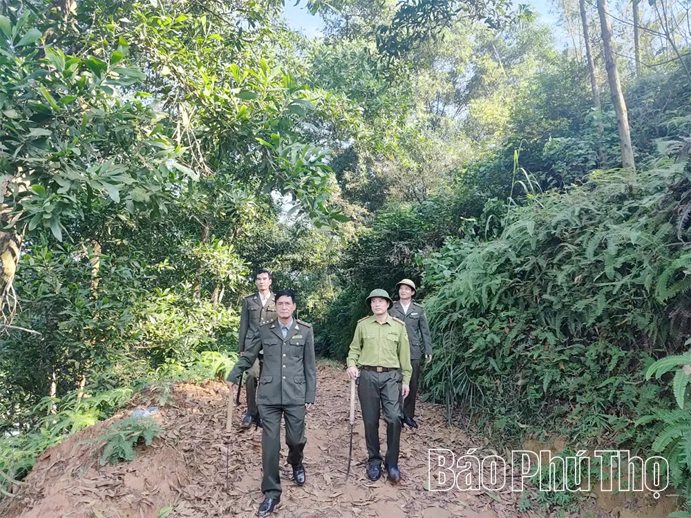 Những &ldquo;người l&iacute;nh&rdquo; g&aacute;c rừng