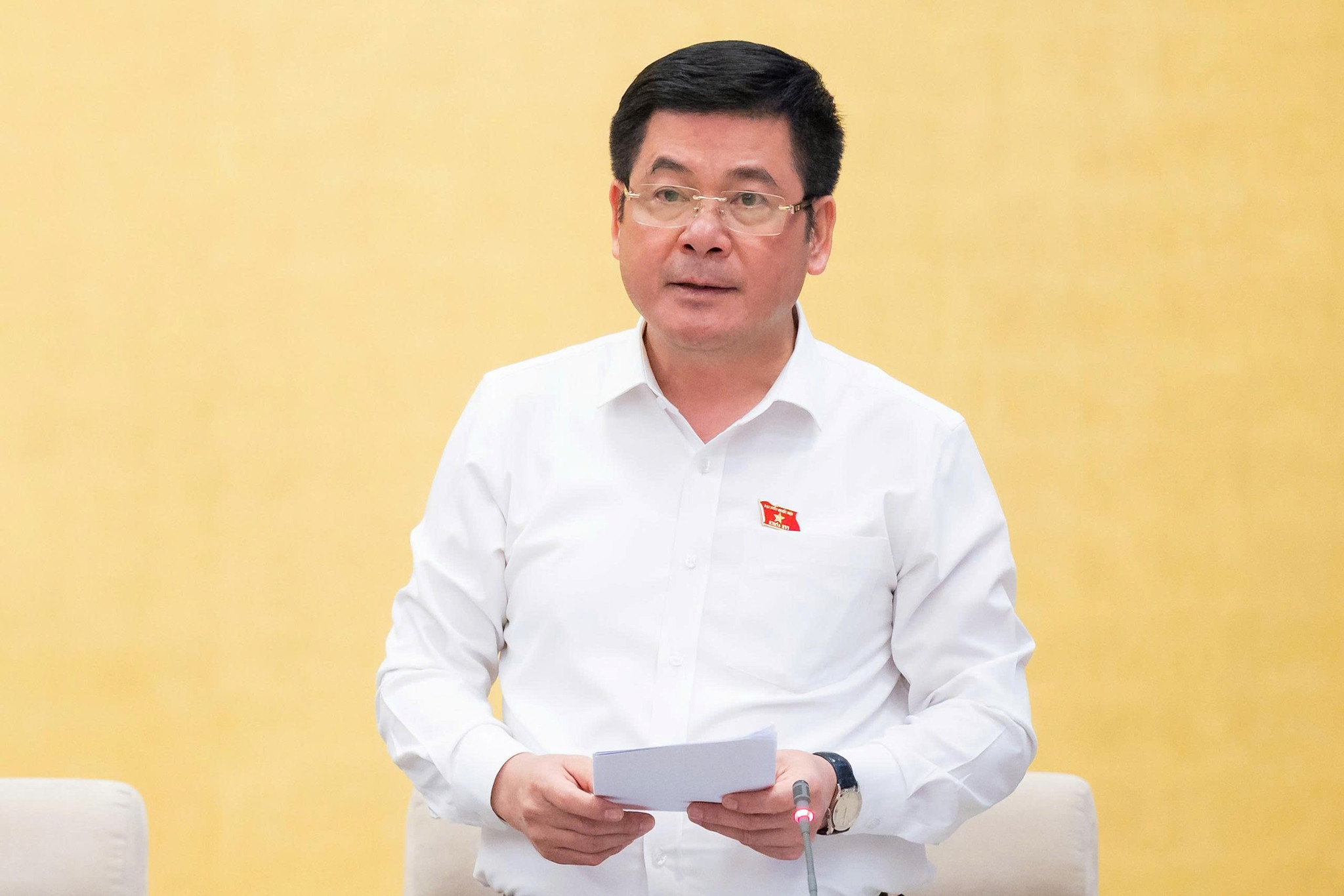 Phó Chủ tịch Quốc hội Nguyễn Hồng Diên phát biểu kết luận phiên họp. Ảnh: media.quochoi.vn