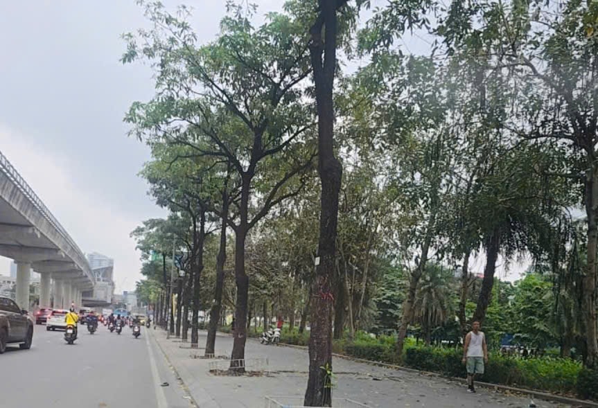 ho-tung-mau.jpg
