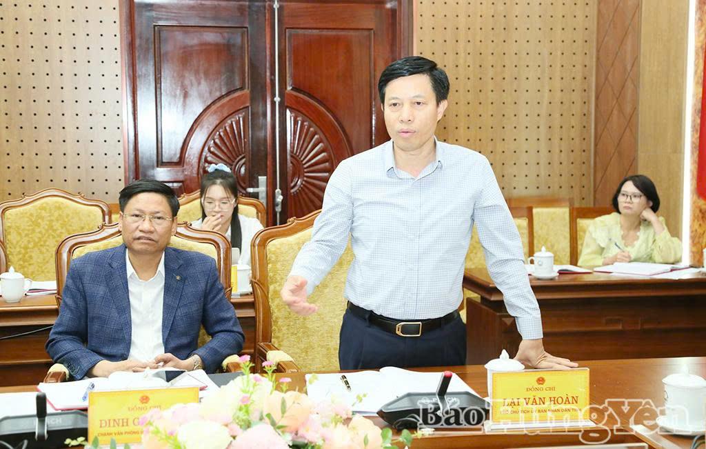 Đồng chí Lại Văn Hoàn, Phó Chủ tịch UBND tỉnh phát biểu tại cuộc họp.