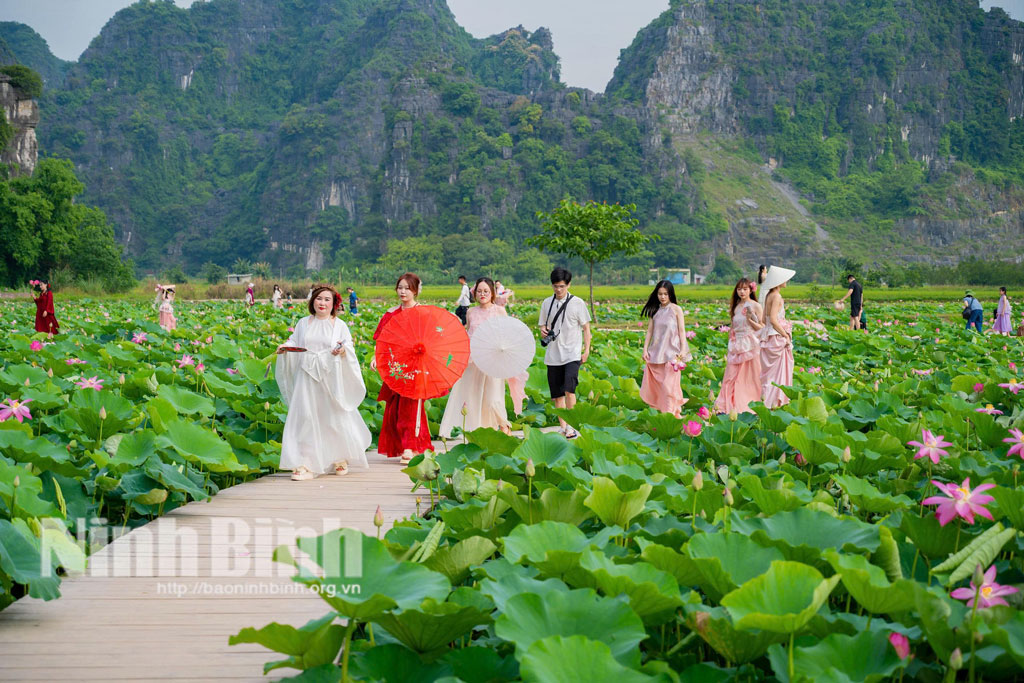 Du khách thích thú trải nghiệm tại đầm sen, Khu du lịch Hang Múa.
