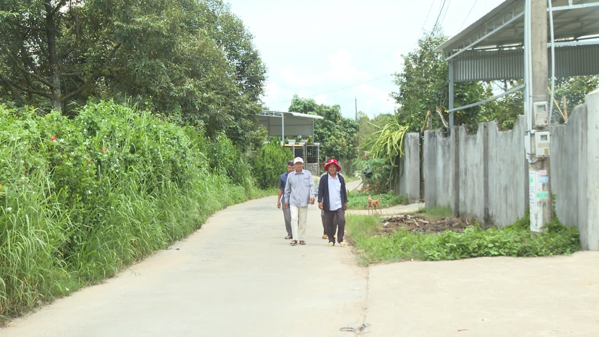 z7356814737298_7d22619f4571ca57d7f02bc7824c0453 (1)