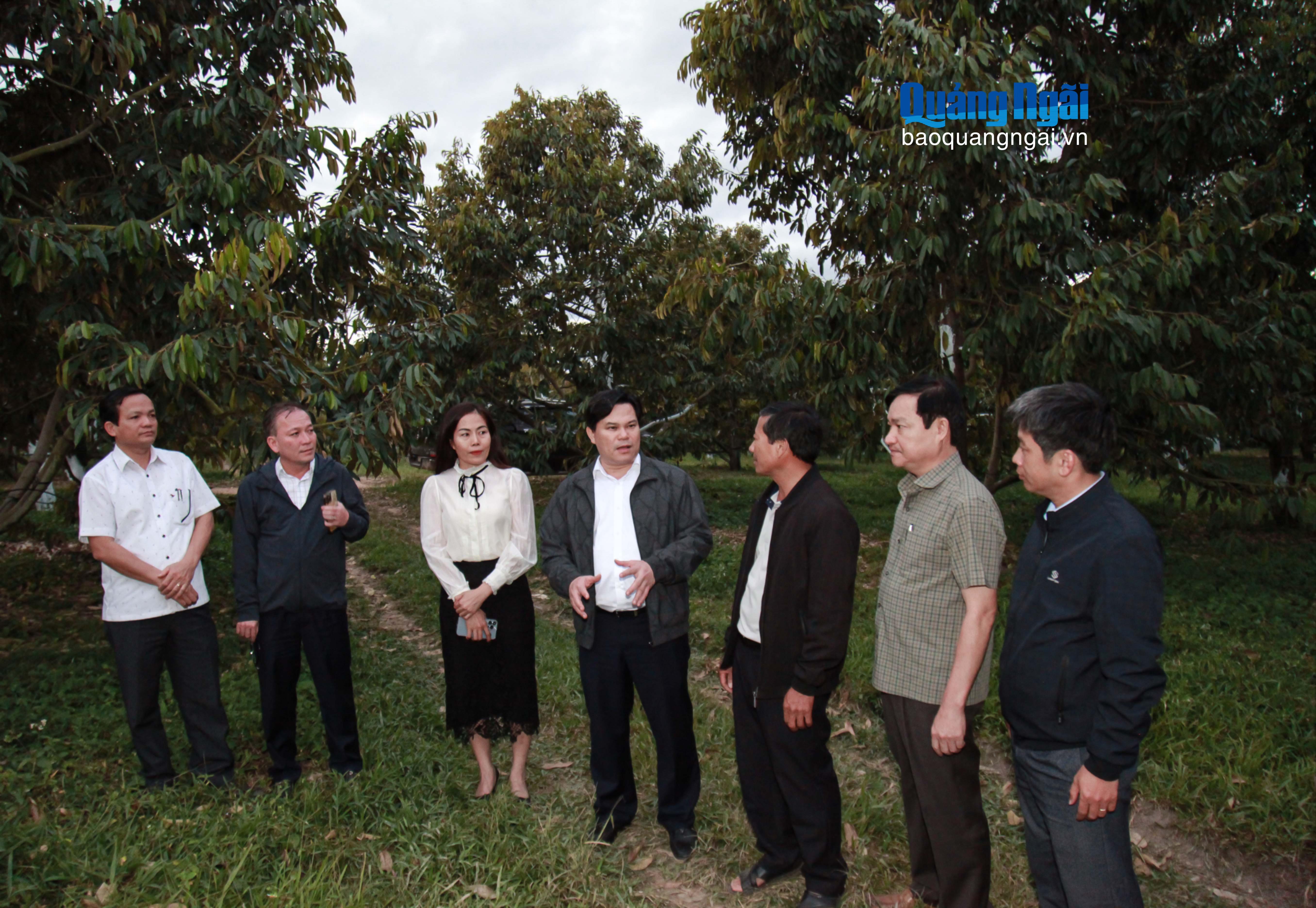 B&aacute;o v&agrave; Ph&aacute;t thanh, Truyền h&igrave;nh Quảng Ng&atilde;i