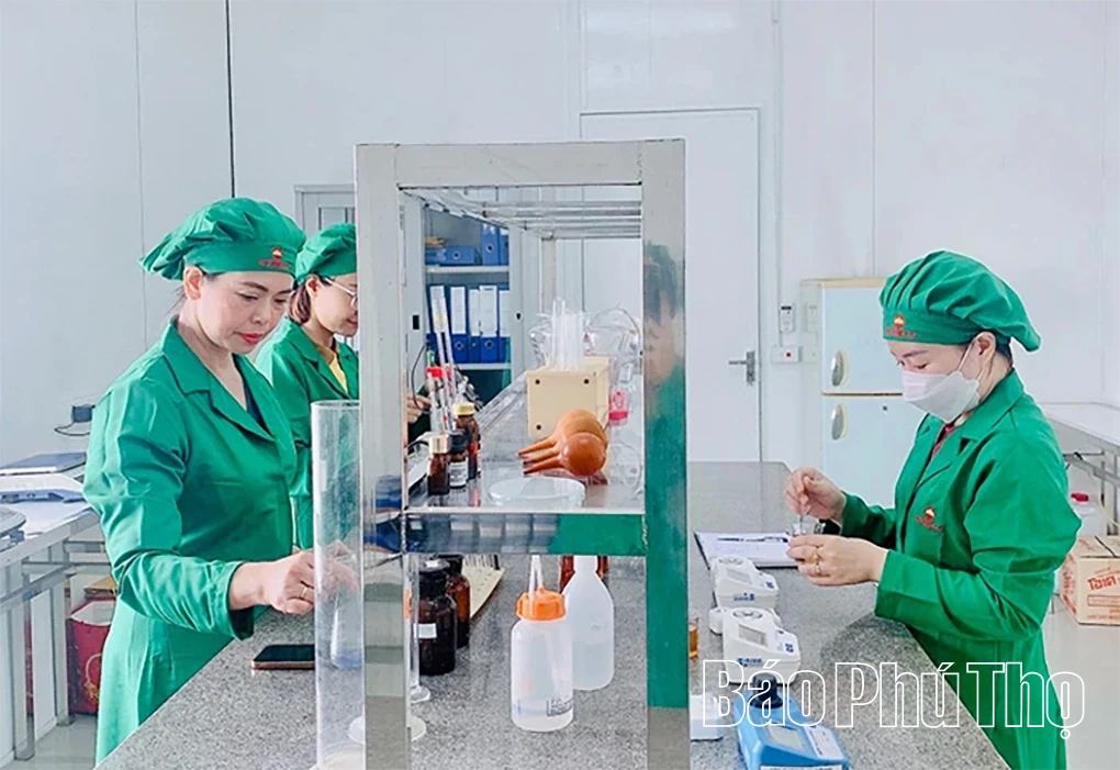 Phụ nữ Đất Tổ bứt phá từ đổi mới tư duy