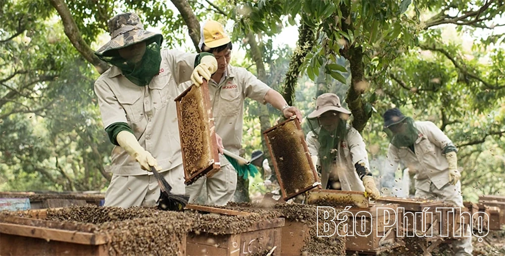 Phụ nữ Đất Tổ bứt phá từ đổi mới tư duy