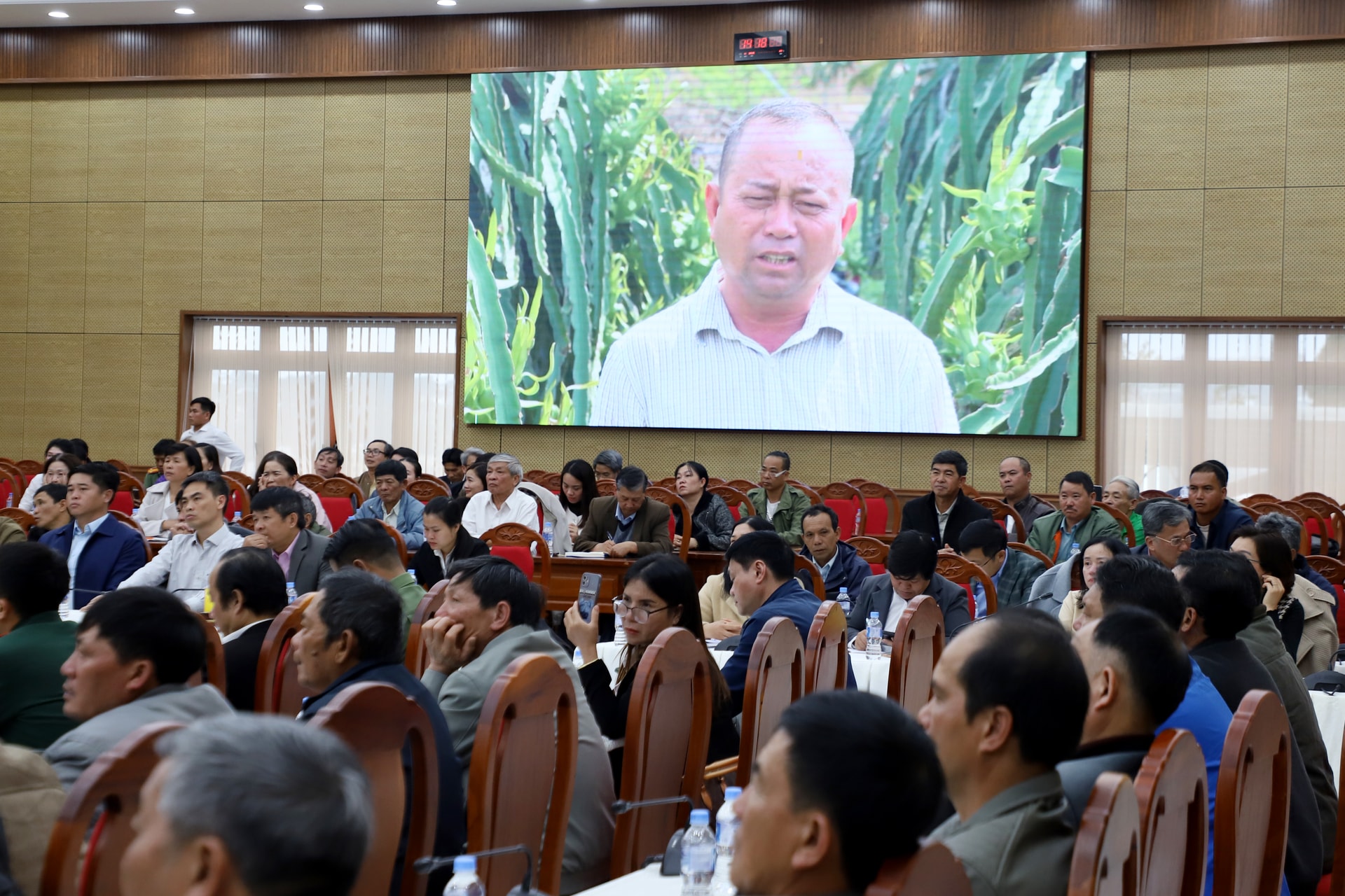 Nông dân trồng thanh long kiến nghị một số nội dung để loại trái cây này mang lại hiệu quả kinh tế cao hơn