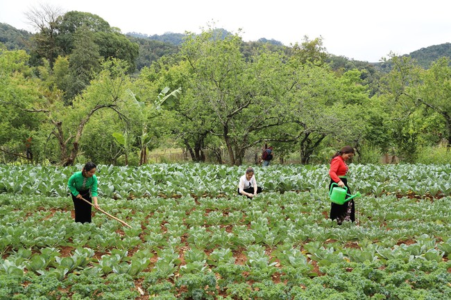 Đề nghị Chính phủ sớm trình Quốc hội Chương trình Mục tiêu Quốc gia duy nhất (2026-2035) - Ảnh 1. Đề nghị Chính phủ sớm trình Quốc hội Chương trình Mục tiêu Quốc gia duy nhất (2026-2035) - Ảnh 1.