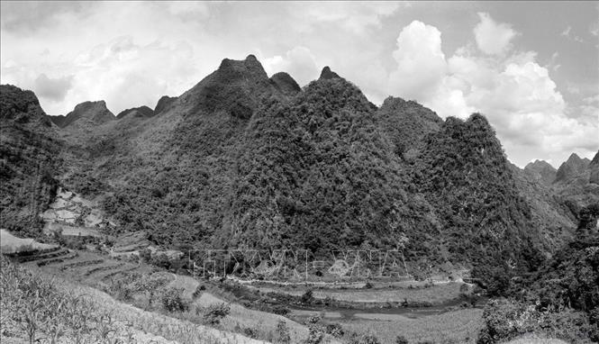 Ch&uacute; th&iacute;ch ảnh