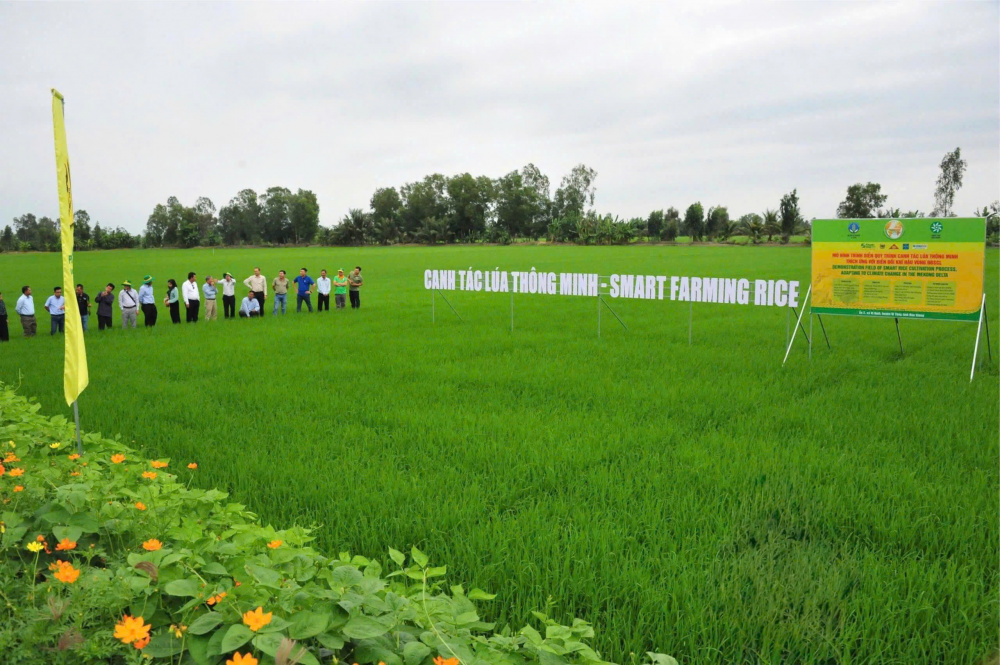 Phân bón Bình Điền